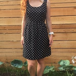 Polk-a-dot Navy Dress
